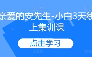 亲爱的安先生-小白3天线上集训课