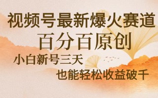 视频号最新爆火赛道，中老年粉深信不疑，百分百原创，新号三天收益轻松…
