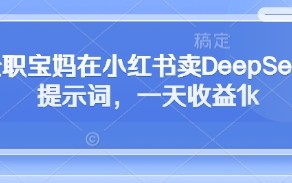 全职宝妈在小红书卖DeepSeek提示词，一天收益1k
