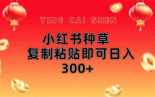小红书种草无脑操作复制粘贴即可日入300+