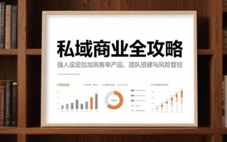 私域商业全攻略，强人设定位加高客单产品，团队搭建与风险管控