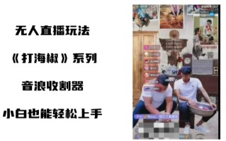 打海椒无人直播整蛊项目，小白轻松上手撸音浪收割器