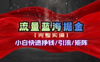 热门赛道掘金_小白快速入局挣钱，可矩阵【完整实操】