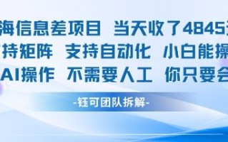 蓝海信息差项目当天收米1k+ 支持矩阵支持自动化小白能操作全程AI操作不需要人工你只要会电脑