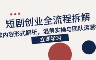 2025短剧创业全流程拆解，爆款内容形式解析，混剪实操与团队运营指南