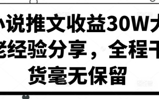小说推文收益30W大佬经验分享，全程干货毫无保留