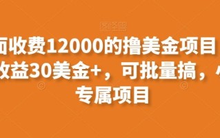 外面收费12000的撸美金项目，单日收益30美金+，可批量搞，小白专属项目