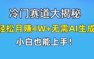 冷门赛道大揭秘，轻松月赚1W+无需AI生成，小白也能上手【揭秘】