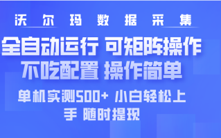 最新沃尔玛平台采集 全自动运行 可矩阵单机实测500+ 操作简单