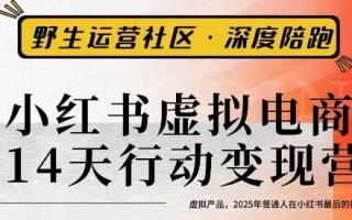 小红书虚拟电商14天变现训练营3.0，​虚拟产品，2025年普通人在小红书最后的搞钱机会