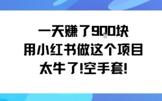 一天挣了9张用小红书做这个项目太牛了，空手套