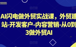 AI闪电做外贸实战课，​外贸建站-开发客户-内容营销-从0到3做外贸AI(更新)