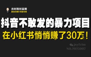 抖音不敢发的暴利项目，在小红书悄悄挣了30W