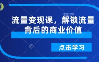 流量变现课，解锁流量背后的商业价值