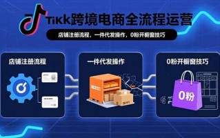 TikTok跨境电商全流程运营：店铺注册流程，一件代发操作，0粉开橱窗技巧