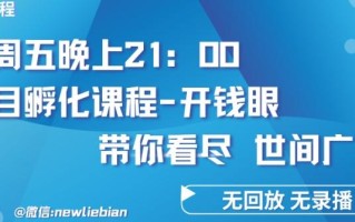 4.26日内部回放课程《项目孵化-开钱眼》赚钱的底层逻辑【揭秘】