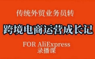 跨境电商速卖通运营课，​运营方法论+后台实操，逻辑清晰