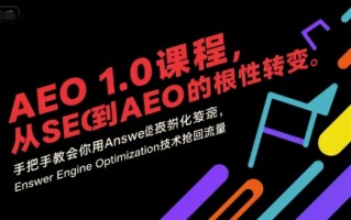 AEO 1.0 课程，从SEO到AE0的基命性转变，手把手教会你用AnswerEngineOptimization技术抢回流量