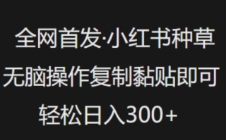 全网首发，小红书种草无脑操作，复制黏贴即可，轻松日入3张