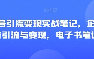 视频号引流变现实战笔记，企业抖音引流与变现，电子书笔记