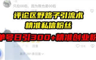 评论区野路子引流术，精准私信粉丝，单号日引流300+精准创业粉