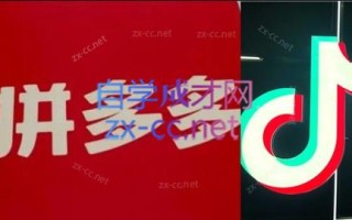 老陶电商·拼多多+抖音小店无货源开店(更新6月)