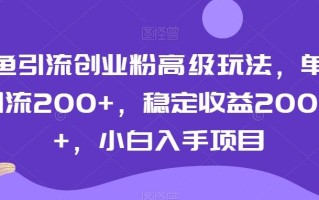 闲鱼引流创业粉高级玩法，单日引流200+，稳定收益2000+，小白入手项目