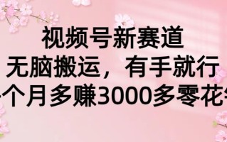 (9278期)视频号新赛道，无脑搬运，有手就行，每个月多赚3000多零花钱