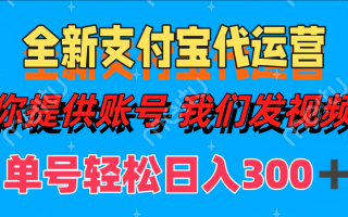 单号轻松日入300+ 全新支付宝代运营你提供账号 我们发视频