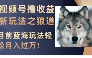 视频号撸收益新玩法之狼道，目前蓝海玩法，轻松月入过万【揭秘】