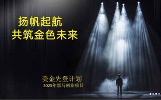 美金对冲创业项目，日收益1000-3000，小众暴力项目稳定运行8年