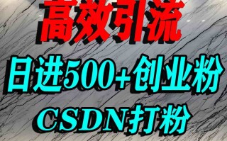 怎么打创业粉？CSDN又一个你不知道的打粉引流神秘平台，单人日引500+精准流量