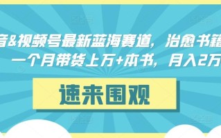 抖音&视频号最新蓝海赛道，治愈书籍带货，一个月带货上万+本书，月入2万＋【揭秘】