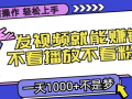 无脑操作，只要发视频就能赚钱？不看播放不看粉丝，小白轻松上手，一天…