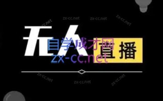 宝子哥·无人直播-非实时防风技术(更新10月)