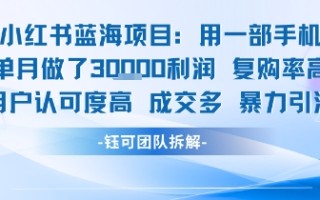 小红书蓝海项目，一部手机单月做了3W利润，小白也能月入过1W用户认可度高成交多
