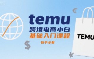temu跨境电商小白基础入门课程，新手必看