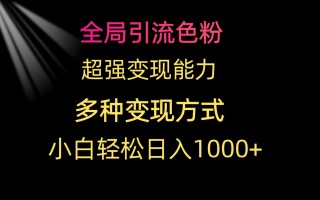 (9680期)全局引流色粉 超强变现能力 多种变现方式 小白轻松日入1000+