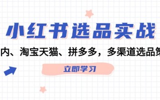 小红书选品实战：站内、淘宝天猫、拼多多，多渠道选品策略