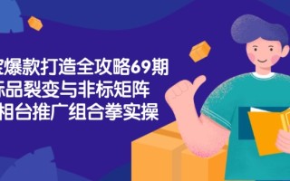 淘宝爆款打造全攻略-69期，标品裂变与非标矩阵，万相台推广组合拳实操