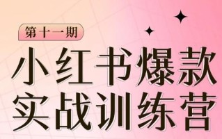 小红书博主爆款训练营第11期，手把手教你从0-1做小红书，从定位到起号到变现