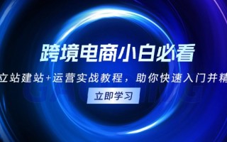 跨境电商小白必看！独立站建站+运营实战教程，助你快速入门并精通
