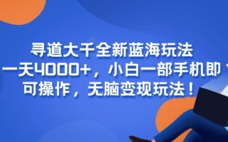 寻道大千全新蓝海玩法，一天4000+，小白一部手机即可操作，无脑变现玩法！