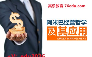 阿米巴经营哲学及其应用（3集） mp4高清无水印视频教程网盘免费下载