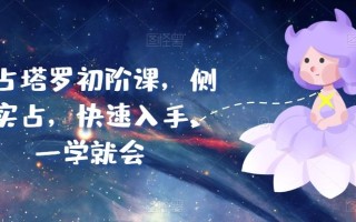 实占塔罗初阶课，侧重实占，快速入手，一学就会