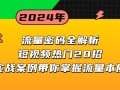 流量密码全解析：短视频热门20招，实战案例带你掌握流量本质