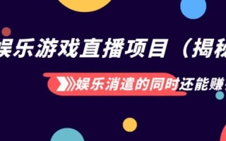 娱乐消遣的同时还能赚钱娱乐游戏直播项目（揭秘）