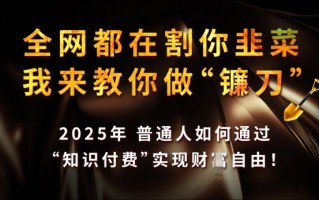 全网都在割你韭菜，我来教你做镰刀，2025年普通人如何通过 知识付费 实现财F自由【揭秘】