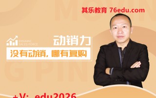 动销力——没有动销，哪有复购？ mp4高清无水印视频教程网盘免费下载