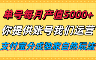 单月产值5000+，支付宝分成代运营，你提供账号坐等分钱，我们帮你运营